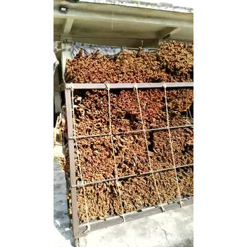 China Canela / Cassia de alta calidad a bajo precio con mejores ventas